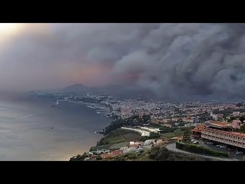 بالفيديو أربعة قتلى في حرائق الغابات في جزيرة ماديرا البرتغالية