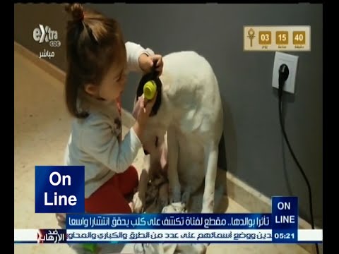 فتاة صغيرة تقلد والدها الطبيب بالكشف على كلب