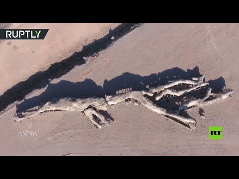 شاهد اكتشاف شجرة عمرها عشرون مليون سنة في اليونان