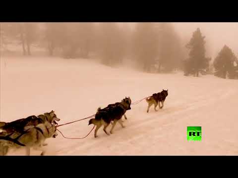 شاهدالغبار الصحراوي الأحمر الممزوج بالثلوج يغطي قرى جبال الألب الإيطالية